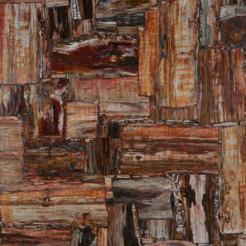Petrified Wood